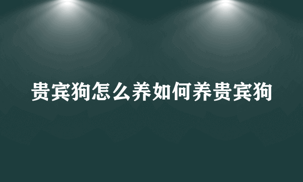 贵宾狗怎么养如何养贵宾狗