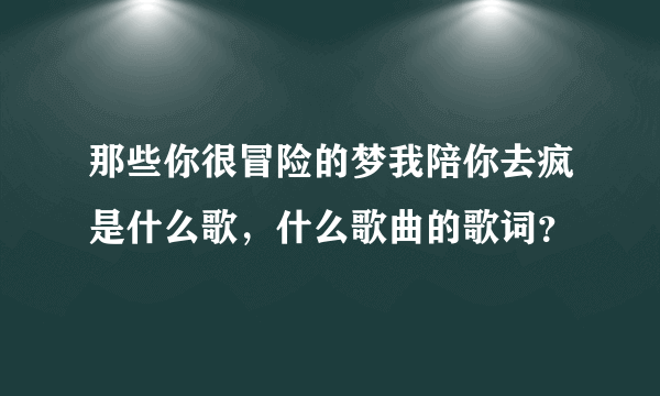 那些你很冒险的梦我陪你去疯是什么歌，什么歌曲的歌词？