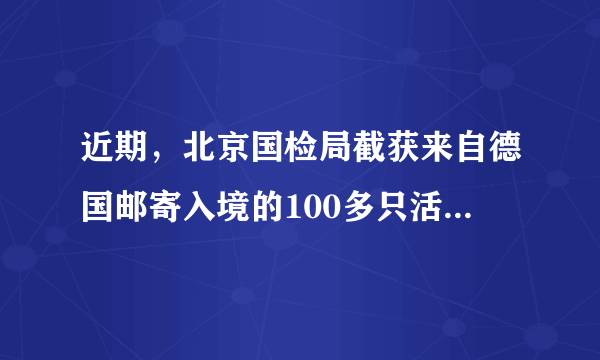 近期，北京国检局截获来自德国邮寄入境的100多只活蟑螂和501只活蜘蛛，避免了它们入境形成生物入侵等危害。蟑螂和蜘蛛在生物分类中最小的共同分类单位是（   ）A.界B.门C.纲D.目