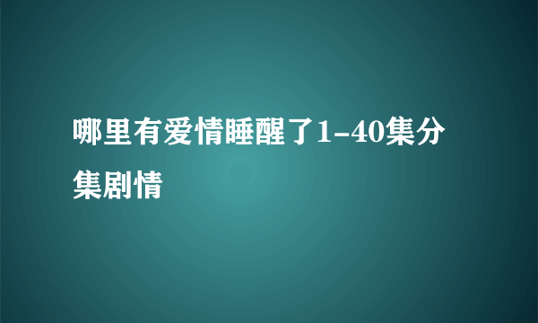 哪里有爱情睡醒了1-40集分集剧情