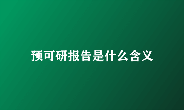 预可研报告是什么含义