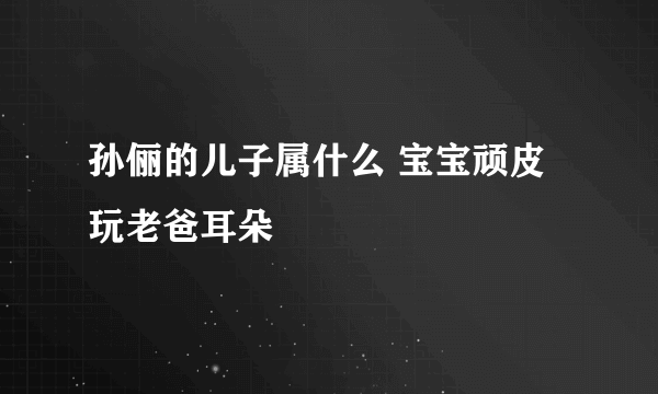 孙俪的儿子属什么 宝宝顽皮玩老爸耳朵