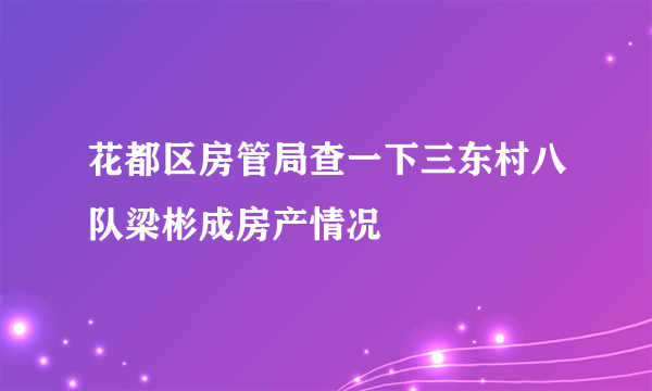 花都区房管局查一下三东村八队梁彬成房产情况