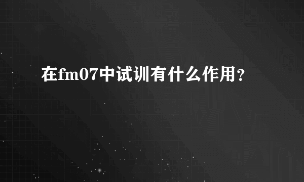 在fm07中试训有什么作用？