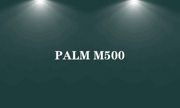 PALM M500