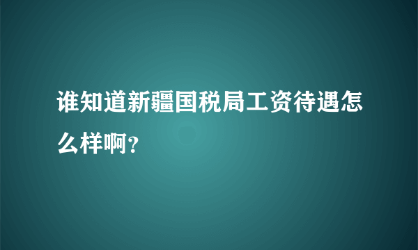 谁知道新疆国税局工资待遇怎么样啊？