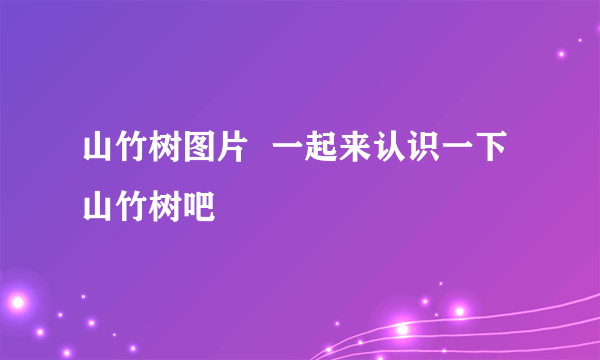 山竹树图片  一起来认识一下山竹树吧