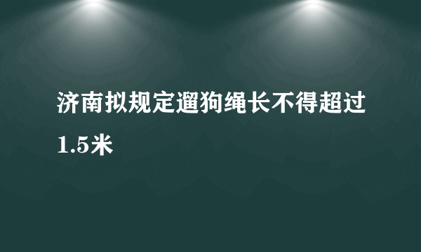 济南拟规定遛狗绳长不得超过1.5米