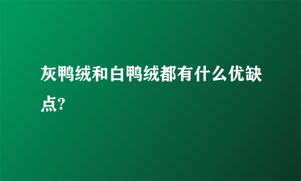 灰鸭绒和白鸭绒都有什么优缺点?