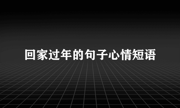 回家过年的句子心情短语