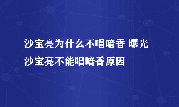 沙宝亮为什么不唱暗香 曝光沙宝亮不能唱暗香原因