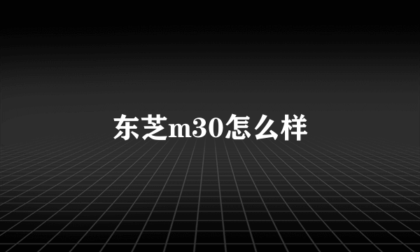 东芝m30怎么样