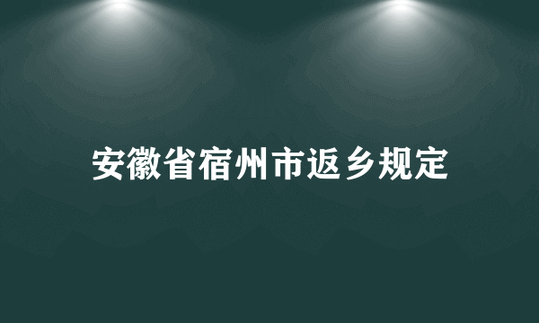 安徽省宿州市返乡规定