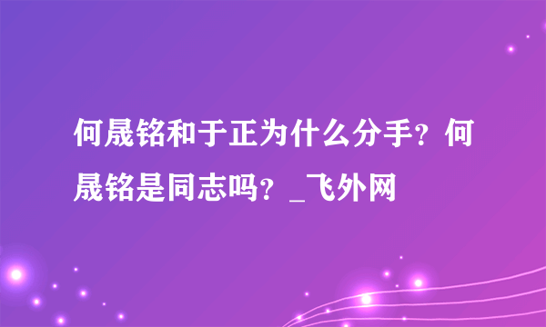 何晟铭和于正为什么分手？何晟铭是同志吗？_飞外网