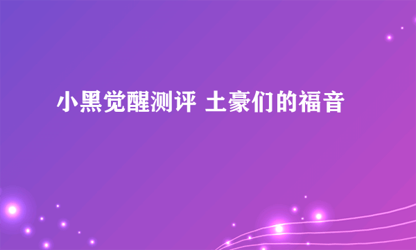 小黑觉醒测评 土豪们的福音