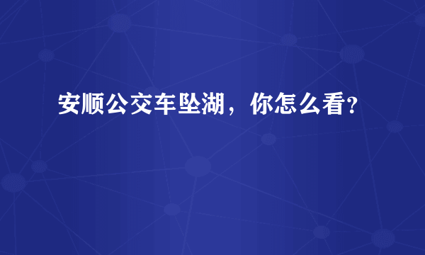 安顺公交车坠湖，你怎么看？