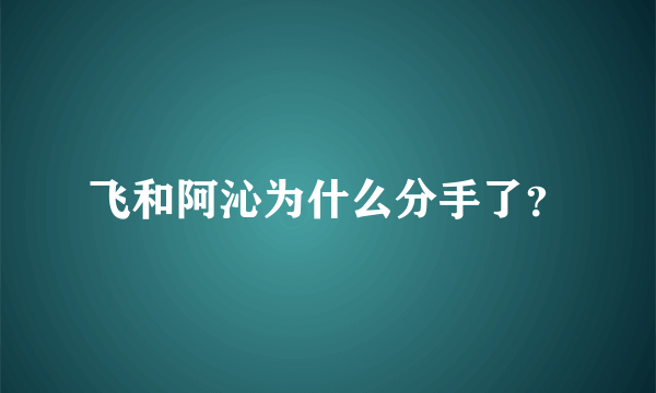 飞和阿沁为什么分手了？