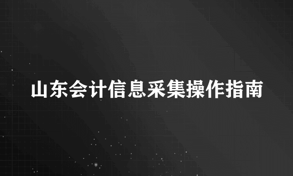 山东会计信息采集操作指南