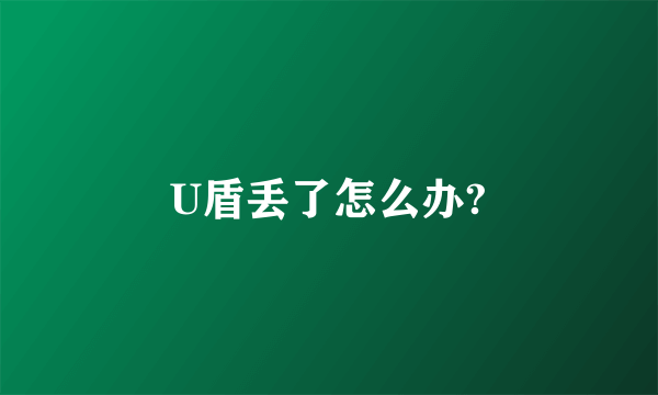 U盾丢了怎么办?