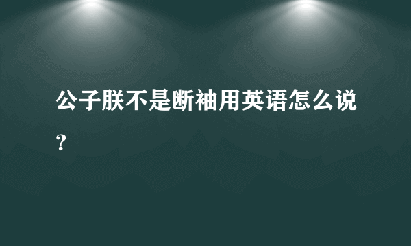 公子朕不是断袖用英语怎么说？