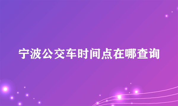 宁波公交车时间点在哪查询