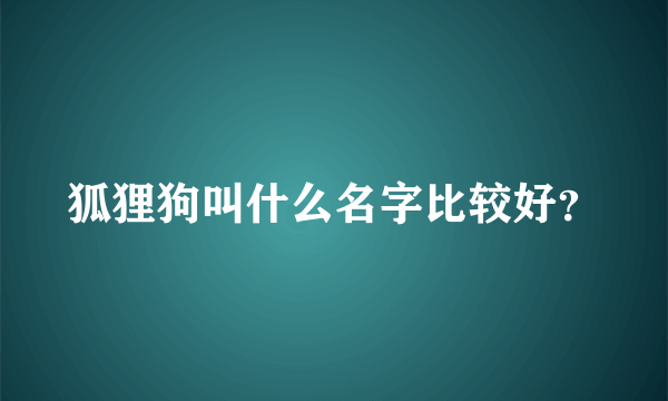 狐狸狗叫什么名字比较好？