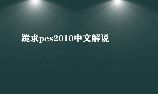 跪求pes2010中文解说