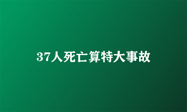 37人死亡算特大事故