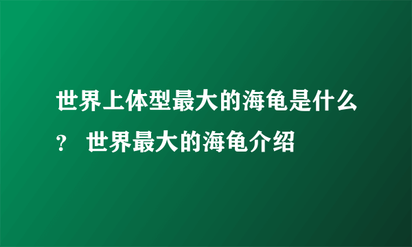 世界上体型最大的海龟是什么？ 世界最大的海龟介绍