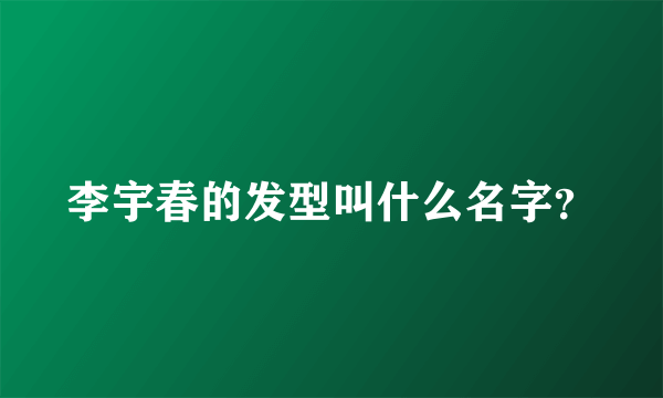 李宇春的发型叫什么名字？