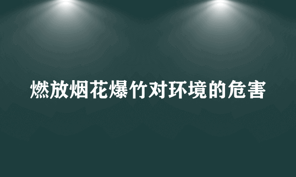 燃放烟花爆竹对环境的危害