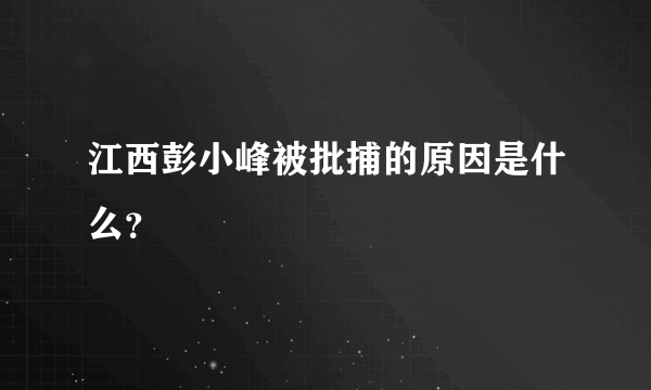 江西彭小峰被批捕的原因是什么？