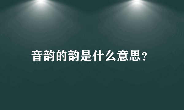 音韵的韵是什么意思？