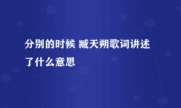 分别的时候 臧天朔歌词讲述了什么意思