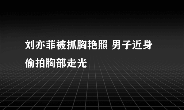 刘亦菲被抓胸艳照 男子近身偷拍胸部走光