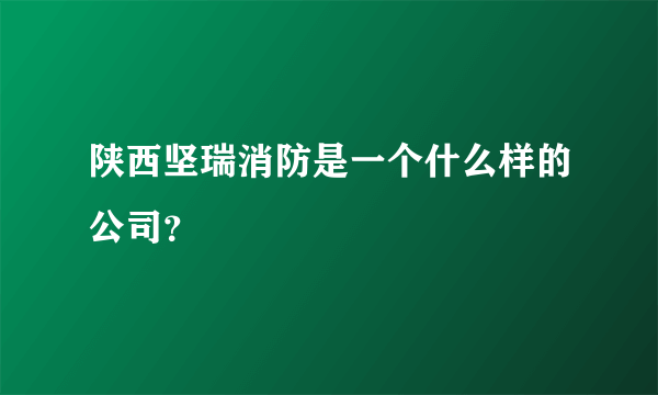 陕西坚瑞消防是一个什么样的公司？