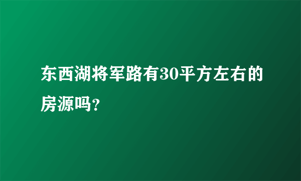 东西湖将军路有30平方左右的房源吗？