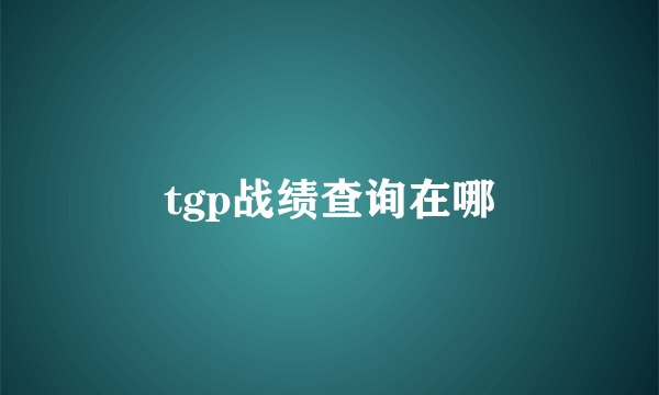 tgp战绩查询在哪