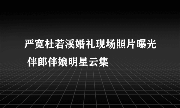 严宽杜若溪婚礼现场照片曝光 伴郎伴娘明星云集