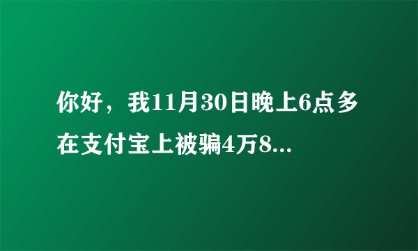 你好，我11月30日晚上6点多在支付宝上被骗4万8千元，已经在北京派出所报警了，现在还可以在网上找网络警察在报一次案吗？