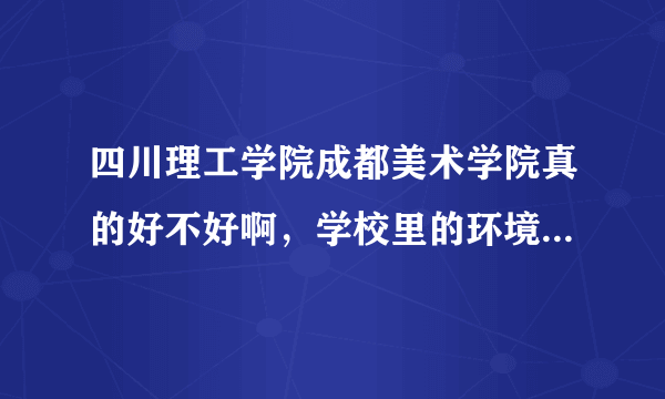 四川理工学院成都美术学院真的好不好啊，学校里的环境怎么样，，有些人说还是不错的，