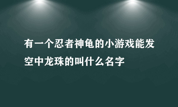 有一个忍者神龟的小游戏能发空中龙珠的叫什么名字