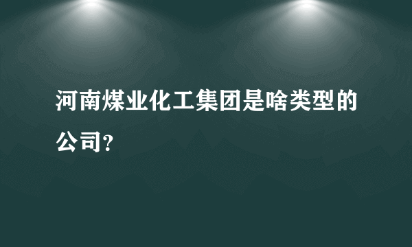 河南煤业化工集团是啥类型的公司？