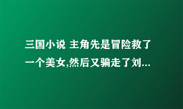 三国小说 主角先是冒险救了一个美女,然后又骗走了刘备的老婆甘夫人