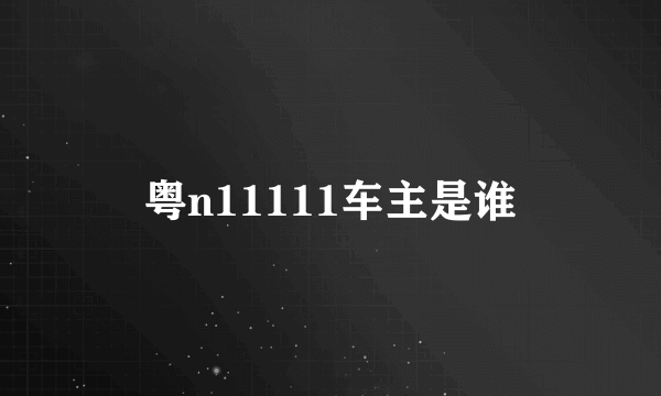 粤n11111车主是谁