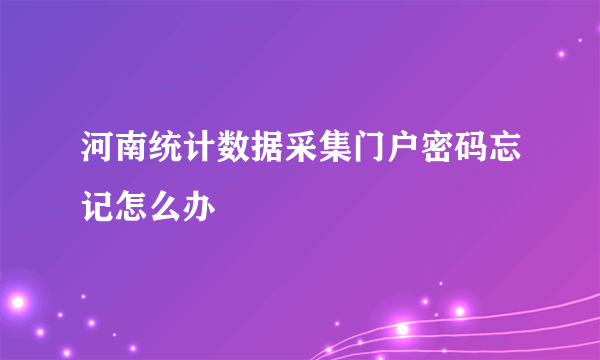 河南统计数据采集门户密码忘记怎么办