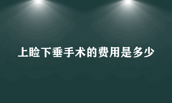 上睑下垂手术的费用是多少