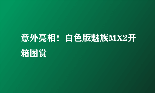 意外亮相！白色版魅族MX2开箱图赏