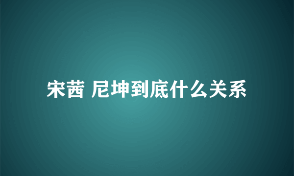 宋茜 尼坤到底什么关系