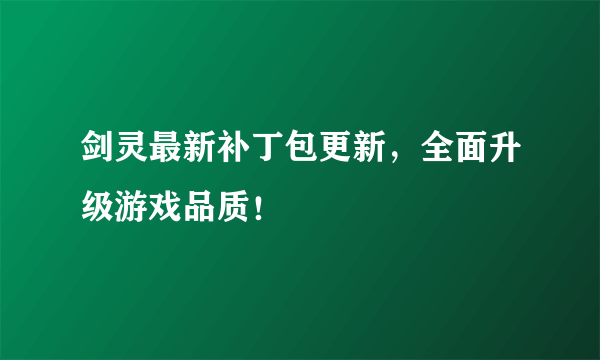 剑灵最新补丁包更新，全面升级游戏品质！